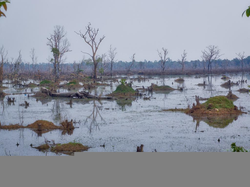 មគ្គុទេសក៍សម្រាប់ទេសចរណ៍មរតកខ្មែរ