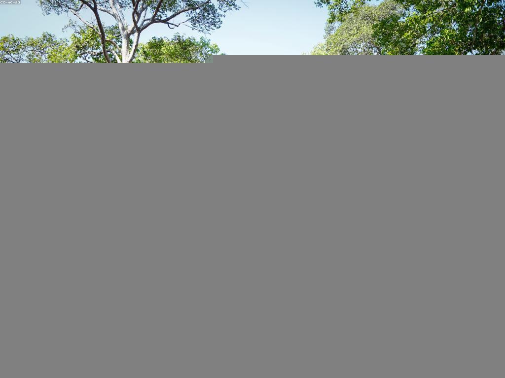 មគ្គុទេសក៍សម្រាប់ការសិក្សាវប្បធម៌ខ្មែរ