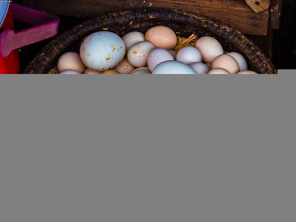 មគ្គុទេសក៍សម្រាប់ម្ហូបខ្មែរដ៏ឈរលឿន